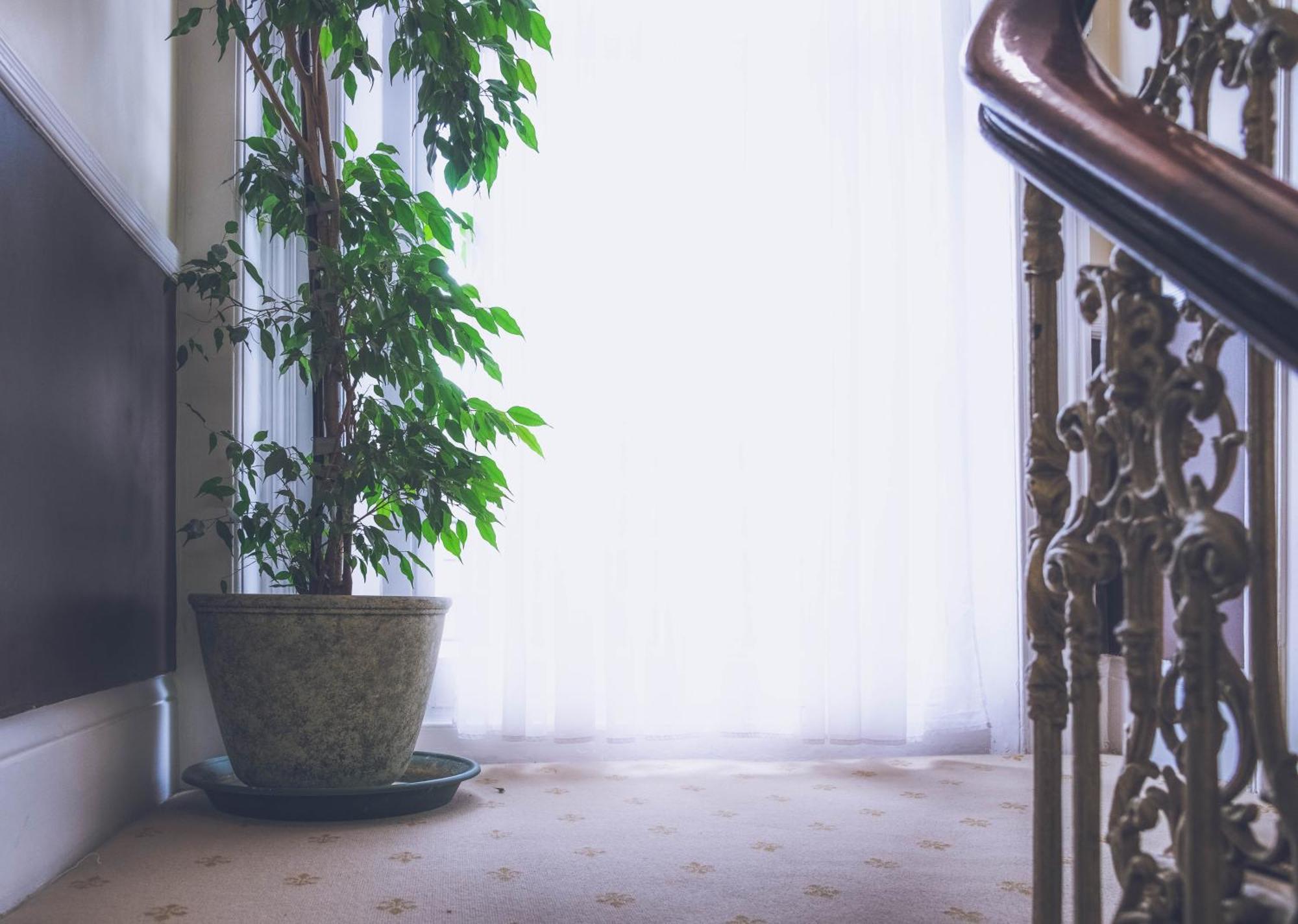 Dolphin Hotel London Ngoại thất bức ảnh